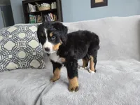 processed/8fff99ba-1192-432e-aa9e-74090d71ba87/listing/e7cd89d8-f7e9-4815-bdf3-07899f220cca/728a91e7-b827-45bb-b94c-9720ac1871d3