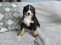 processed/8fff99ba-1192-432e-aa9e-74090d71ba87/listing/e7cd89d8-f7e9-4815-bdf3-07899f220cca/8dc7afab-476c-4ca4-83f8-4c4c790b11cd