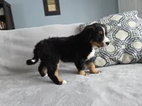 processed/8fff99ba-1192-432e-aa9e-74090d71ba87/listing/e7cd89d8-f7e9-4815-bdf3-07899f220cca/d5518aa0-e857-4541-b92c-bf8dc666c542