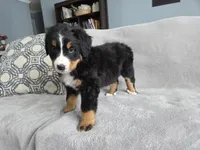 processed/8fff99ba-1192-432e-aa9e-74090d71ba87/listing/e7cd89d8-f7e9-4815-bdf3-07899f220cca/f85c4bc5-6694-4873-8c7a-38d4e018ad36