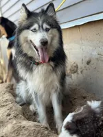 processed/90006dde-2d68-455e-81b8-bd1800076d3c/facility/13ae6b4a-a174-4255-8818-ce11068e1968