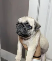 processed/900bb909-be9e-4946-9839-4a3e01341de7/facility/529fbdea-5ae7-4946-b619-20a84b869949