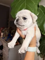 processed/900bb909-be9e-4946-9839-4a3e01341de7/facility/721150fa-d33d-4661-9215-b29adf6ecc66