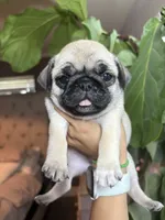 processed/900bb909-be9e-4946-9839-4a3e01341de7/facility/9bafba83-f670-418a-b043-491a7a9686c2