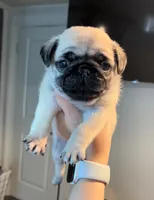 processed/900bb909-be9e-4946-9839-4a3e01341de7/facility/9ff5cec9-8694-4153-9a37-c6f71d34e19a