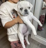 processed/900bb909-be9e-4946-9839-4a3e01341de7/facility/af51b2c5-e3d1-4ae9-8159-b188adfd34d0