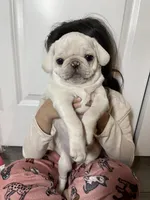 processed/900bb909-be9e-4946-9839-4a3e01341de7/facility/ecc97818-5cb2-4577-b849-4ccf16d2cc0c