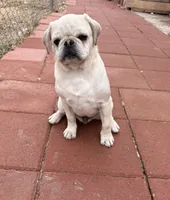 processed/900bb909-be9e-4946-9839-4a3e01341de7/listing/7f9e2711-d73c-4b62-b870-6853c4140fff/1a6a8732-46d0-4756-946e-9f40012c7758