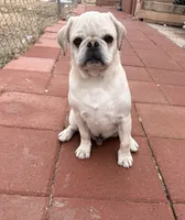 processed/900bb909-be9e-4946-9839-4a3e01341de7/listing/7f9e2711-d73c-4b62-b870-6853c4140fff/2ca25f91-62a6-4b3f-b465-46fbb0f9e9b4