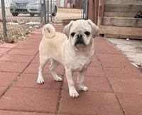 processed/900bb909-be9e-4946-9839-4a3e01341de7/listing/7f9e2711-d73c-4b62-b870-6853c4140fff/7691060e-789e-4212-a96f-e0ebfe25abd5