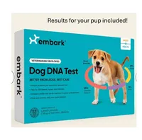 Rose, a female Chinese Shar-Pei for sale in Slater, IA – Photo 10 of 10