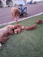 processed/9019bc69-f831-450d-8d91-6ff455df45a6/facility/3fba3624-9ce4-499f-90b2-56133d1b3c65