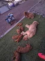 processed/9019bc69-f831-450d-8d91-6ff455df45a6/facility/ac7f8c9d-74d8-4a34-b4d4-6f0f3b045972