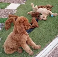 processed/9019bc69-f831-450d-8d91-6ff455df45a6/facility/c2c8387e-108a-498f-ba63-969442fd42ef