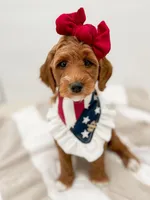 processed/901ac953-6369-40b8-900f-2b83d7bcba5f/facility/3666e42c-6b6c-4753-9631-c9207882a901