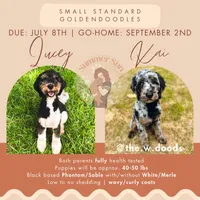 processed/901ac953-6369-40b8-900f-2b83d7bcba5f/facility/b5ed28ab-6ba8-4d17-95e7-984d864a77fb