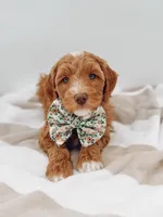 processed/901ac953-6369-40b8-900f-2b83d7bcba5f/facility/c75be416-a20d-455a-a26e-90f6022e8df5