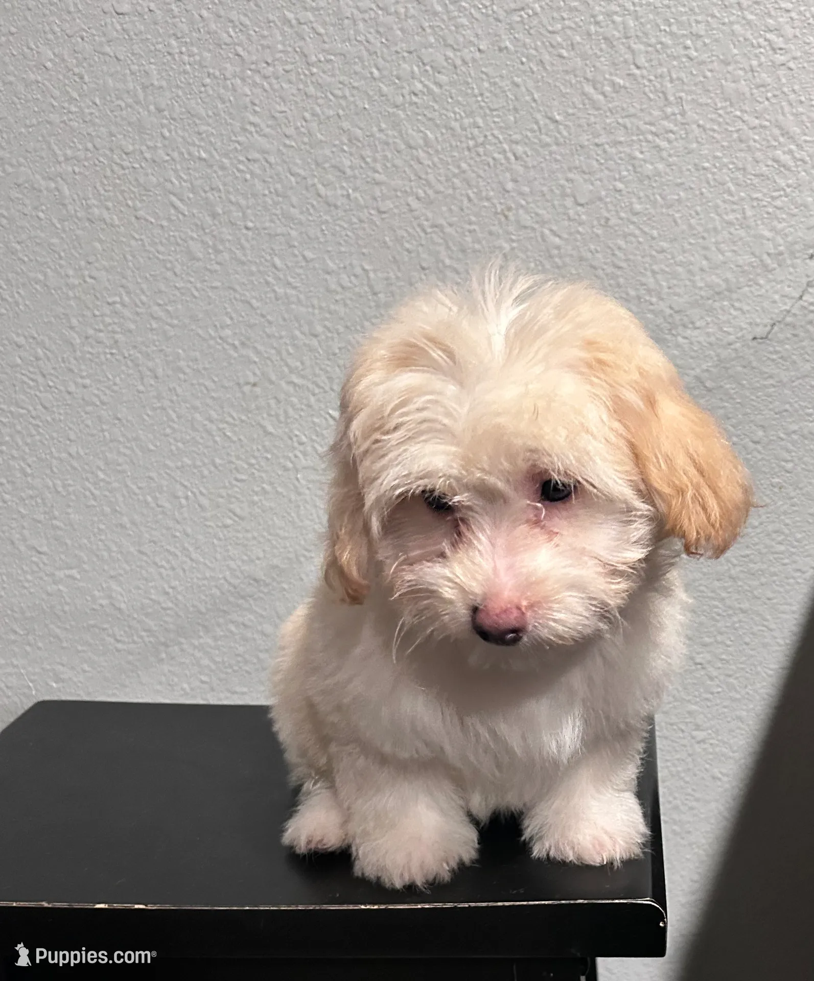 processed/901cec7e-5e92-470c-bdb1-a759f4589da3/listing/49b4ac0f-234f-4a41-bb88-63e3e63b2b92/a1f53cb4-4bdf-4e64-8f20-68c9ff357d9a