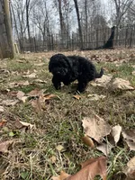 processed/9021b2e1-4da6-450f-8075-725131c5362f/listing/c32d1129-7830-4d29-8112-ddb8451fd496/51c4d6e3-53a9-4108-9298-3008ed92edb7