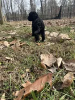 processed/9021b2e1-4da6-450f-8075-725131c5362f/listing/c32d1129-7830-4d29-8112-ddb8451fd496/9973746f-9f68-4403-892f-7b189fbc59f1