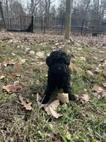 processed/9021b2e1-4da6-450f-8075-725131c5362f/listing/c32d1129-7830-4d29-8112-ddb8451fd496/e81fd2e7-da06-4074-a152-abda4f467300