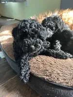 processed/9021b2e1-4da6-450f-8075-725131c5362f/listing/c32d1129-7830-4d29-8112-ddb8451fd496/f15070f8-047b-427b-9475-06263600da9b