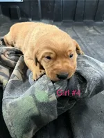 processed/9032b4dc-e516-43e3-8f82-5c30a8bd89e9/listing/81dafb19-8026-4e3f-bfbd-4ee831f856f2/e0430f0d-a4ba-4709-8114-4a482f1b3ece