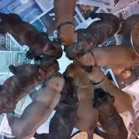 processed/90378634-9cde-4f4c-9452-e00c7d760745/facility/0fc7a322-e4e5-480a-8a14-6112e5d238e4