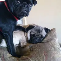 processed/90378634-9cde-4f4c-9452-e00c7d760745/facility/24ada9b0-8179-4048-a4cc-a32a33e469c9