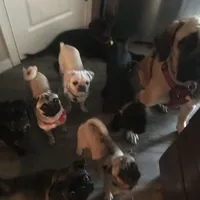 processed/90378634-9cde-4f4c-9452-e00c7d760745/facility/3b7d2870-1c4f-40ab-b898-c3577ee919c3