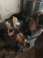 processed/90378634-9cde-4f4c-9452-e00c7d760745/facility/3b7d2870-1c4f-40ab-b898-c3577ee919c3