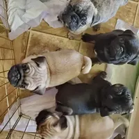 processed/90378634-9cde-4f4c-9452-e00c7d760745/facility/66e9b476-e09e-4725-ba1a-1c2d7a518357