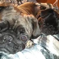 processed/90378634-9cde-4f4c-9452-e00c7d760745/facility/718dde19-b2ed-41ce-a5fb-cb0641ea3e1c