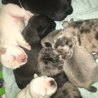 processed/90378634-9cde-4f4c-9452-e00c7d760745/facility/b4cc198a-ce1a-4546-8021-3045de3e14ca