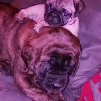 processed/90378634-9cde-4f4c-9452-e00c7d760745/facility/d1ff4695-5777-42fc-945a-f7118249d4f8