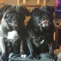 processed/90378634-9cde-4f4c-9452-e00c7d760745/facility/da946606-c687-41d6-8973-80a543fa7cf5