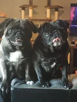 processed/90378634-9cde-4f4c-9452-e00c7d760745/facility/da946606-c687-41d6-8973-80a543fa7cf5