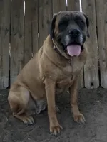 processed/90378634-9cde-4f4c-9452-e00c7d760745/listing/1f236941-cae9-4ea7-a13d-0b9df2ed6c1a/4d917a17-d4ab-4036-9402-acc145e0cead