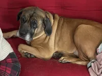 processed/90378634-9cde-4f4c-9452-e00c7d760745/listing/1f236941-cae9-4ea7-a13d-0b9df2ed6c1a/53bc5254-4526-44f3-a9af-1f5f9e00a8c1