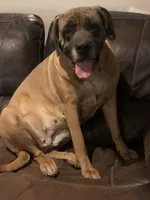 processed/90378634-9cde-4f4c-9452-e00c7d760745/listing/1f236941-cae9-4ea7-a13d-0b9df2ed6c1a/56f062e8-1647-496e-a1c2-2dff9c3f7f78