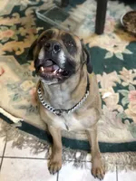 processed/90378634-9cde-4f4c-9452-e00c7d760745/listing/1f236941-cae9-4ea7-a13d-0b9df2ed6c1a/78902770-cd32-411f-b05b-22cda91ec991