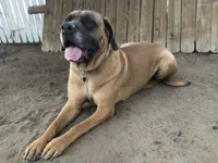 processed/90378634-9cde-4f4c-9452-e00c7d760745/listing/1f236941-cae9-4ea7-a13d-0b9df2ed6c1a/bd8f8bc9-c1a3-448c-8941-8714d8eb7120