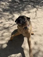 processed/90378634-9cde-4f4c-9452-e00c7d760745/listing/1f236941-cae9-4ea7-a13d-0b9df2ed6c1a/dc07e632-7ebf-41b7-8a0d-f62b0f0407de