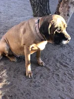 processed/90378634-9cde-4f4c-9452-e00c7d760745/listing/1f236941-cae9-4ea7-a13d-0b9df2ed6c1a/e358feeb-50ad-4df2-a23c-8e2e49ef026f