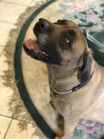 processed/90378634-9cde-4f4c-9452-e00c7d760745/listing/1f236941-cae9-4ea7-a13d-0b9df2ed6c1a/edc54735-e747-4e15-a38c-66aaeaf4e343