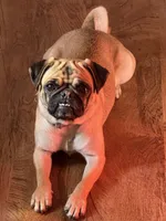 processed/90378634-9cde-4f4c-9452-e00c7d760745/listing/3de51313-8d44-491f-8732-13289cda180d/0fc0d7b0-843a-4cd4-a09a-7d8f103a5d67