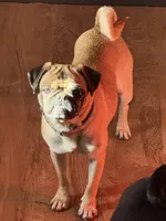 processed/90378634-9cde-4f4c-9452-e00c7d760745/listing/3de51313-8d44-491f-8732-13289cda180d/3925d509-8b60-4f1b-ad9e-376c8a41e994