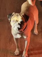 processed/90378634-9cde-4f4c-9452-e00c7d760745/listing/3de51313-8d44-491f-8732-13289cda180d/86767d66-e38e-489e-a8a6-e99e1536c1cf