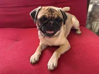 processed/90378634-9cde-4f4c-9452-e00c7d760745/listing/3de51313-8d44-491f-8732-13289cda180d/b85ef678-433d-44b0-98b5-a0ef0ee3552f