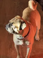 processed/90378634-9cde-4f4c-9452-e00c7d760745/listing/3de51313-8d44-491f-8732-13289cda180d/e48b23fe-2fe1-4caf-98f6-c9070f51e9d2